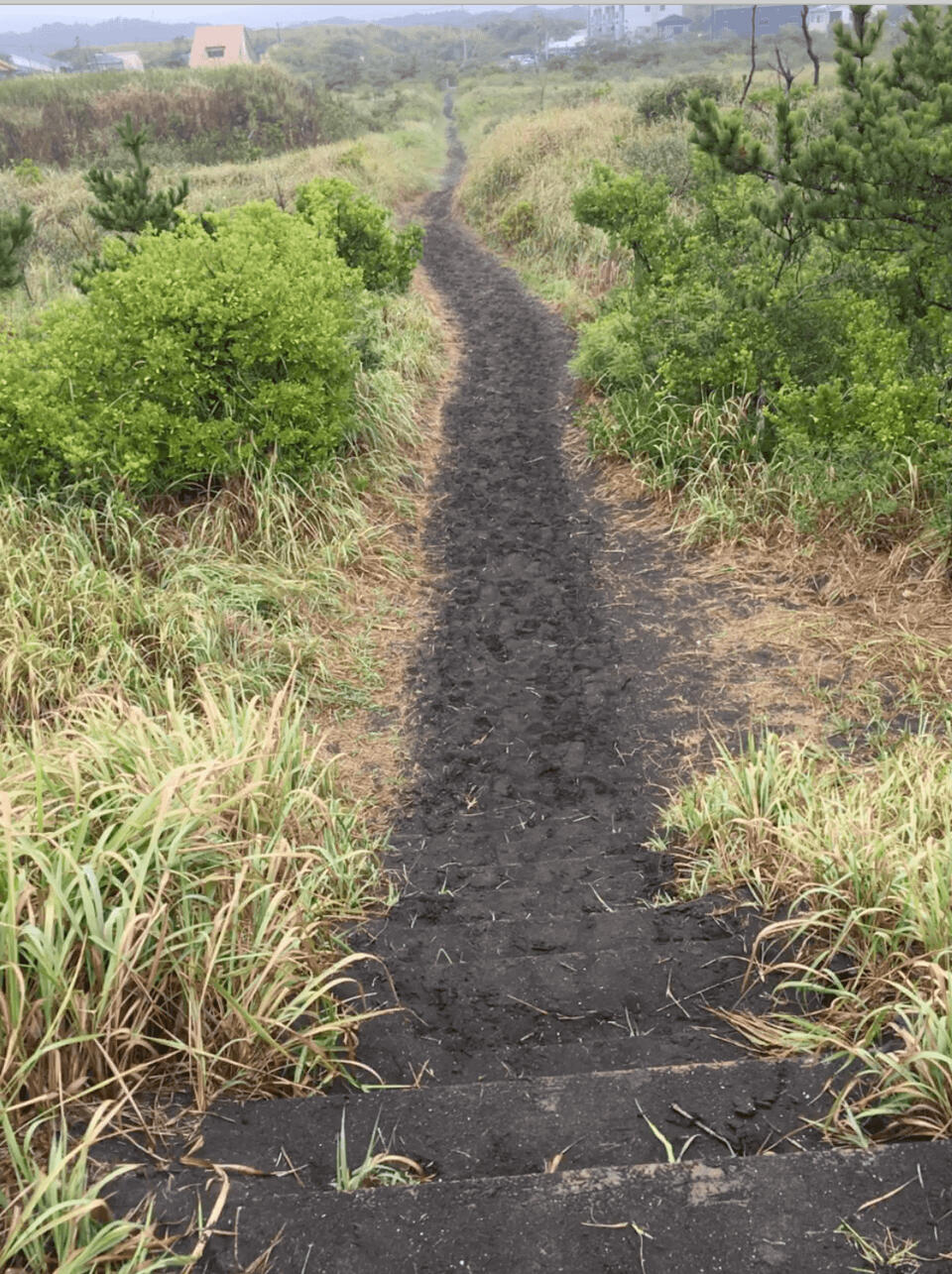 A path leads away from the black sand beach at Kujukurihama